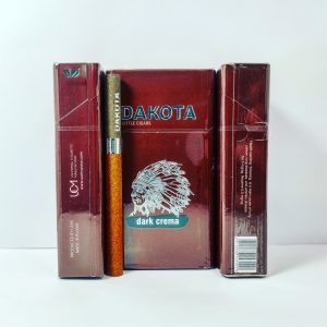 داکوتا شکلاتی