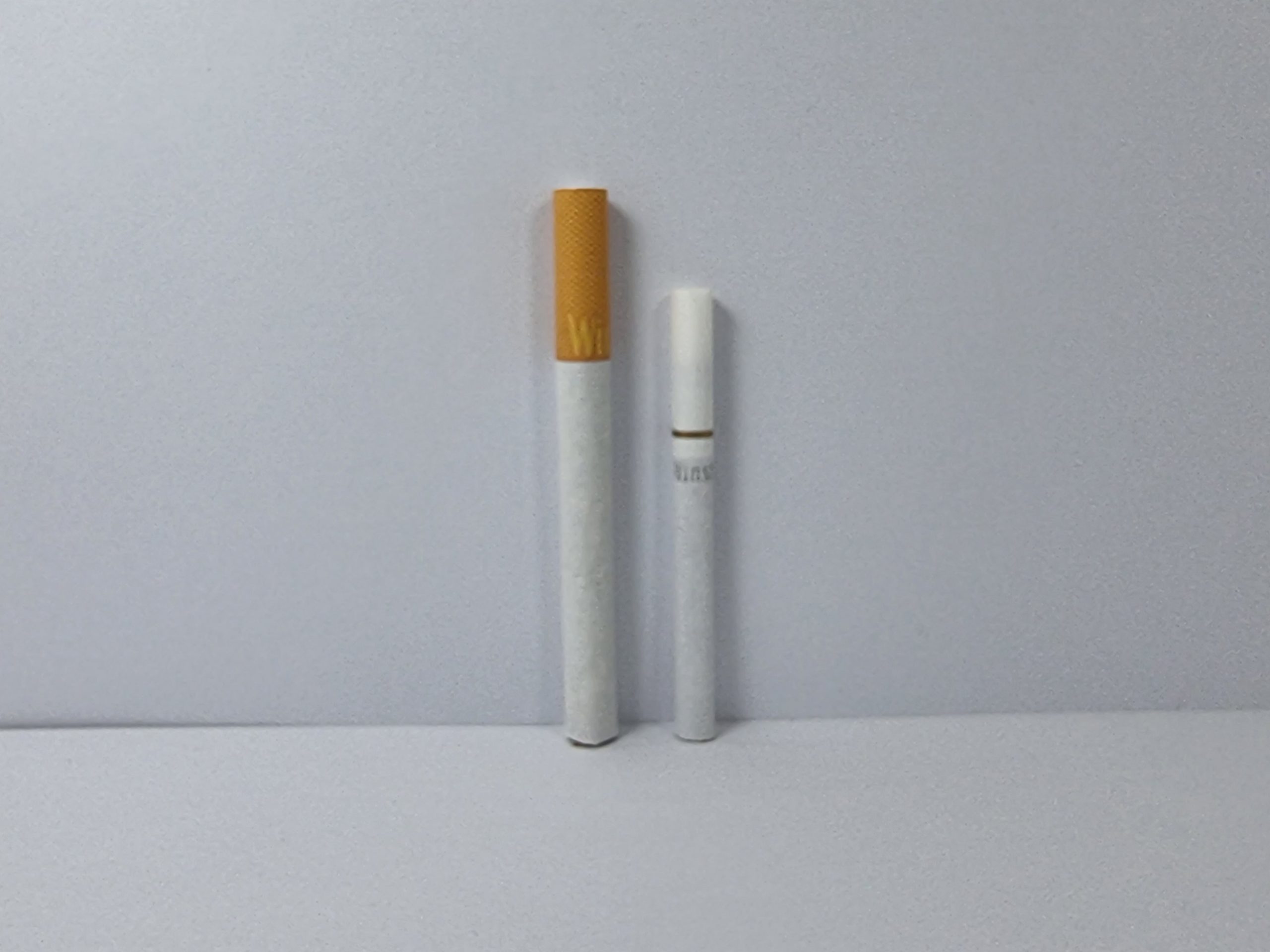 وینستون لایت دول (مینی)