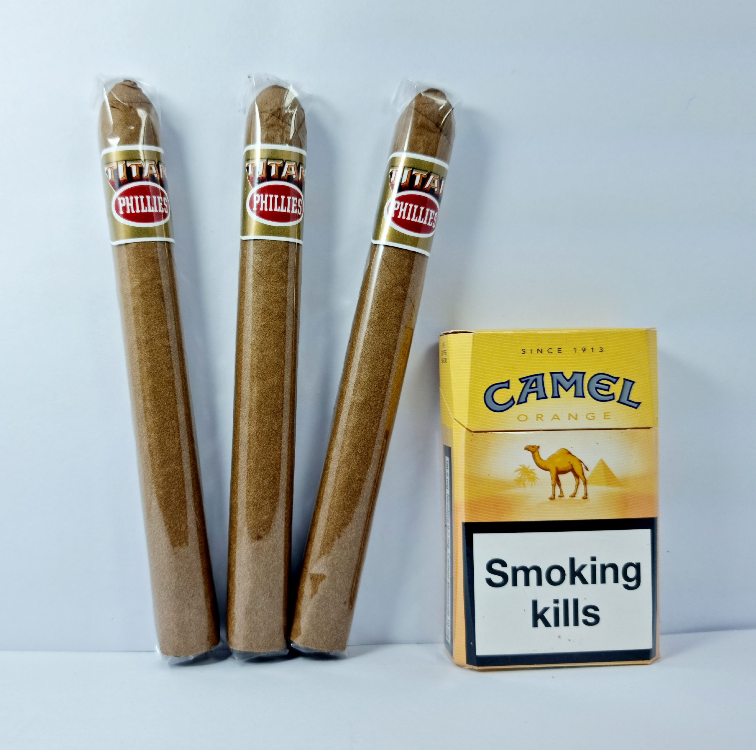 برگ تیتان فیلیس