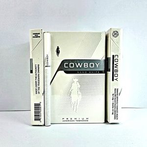 کابوی نقره ای